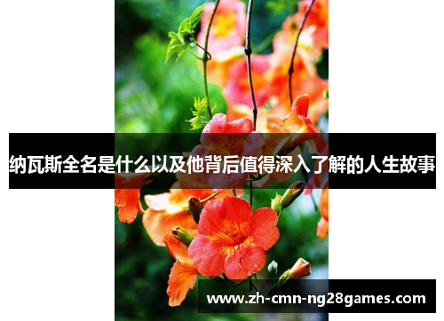 纳瓦斯全名是什么以及他背后值得深入了解的人生故事