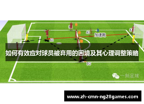 如何有效应对球员被弃用的困境及其心理调整策略