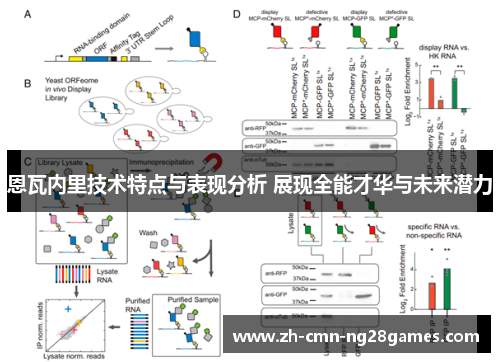 恩瓦内里技术特点与表现分析 展现全能才华与未来潜力