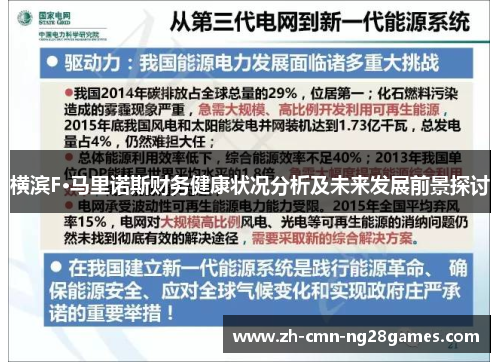 横滨F·马里诺斯财务健康状况分析及未来发展前景探讨